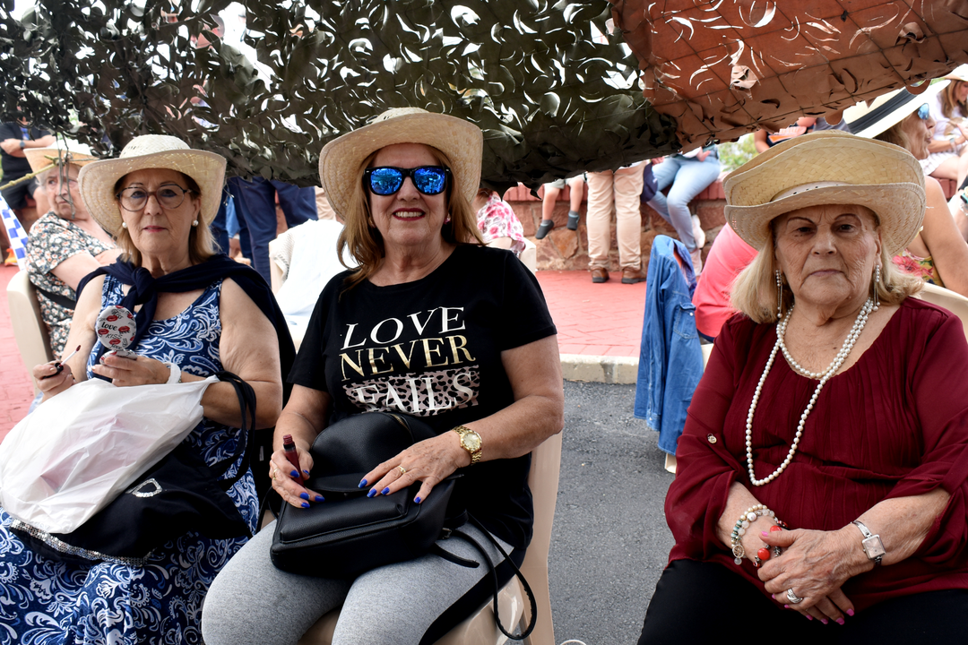 Romer&iacute;a de San Antonio  (51)