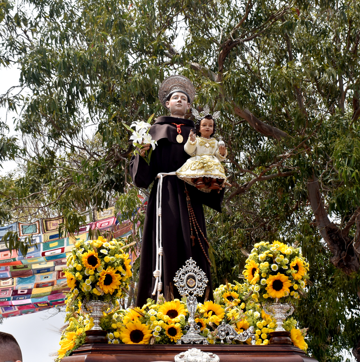 Romer&iacute;a de San Antonio  (21)