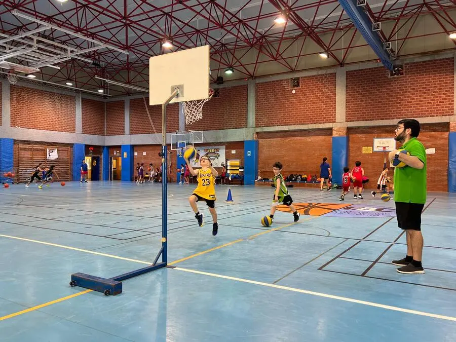 XIII Basket Summer Camp / Daniel Hern&aacute;ndez