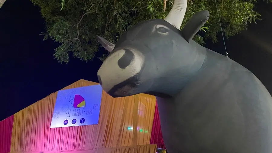 Feria 2024, jueves / Pablo Mat&eacute;s
