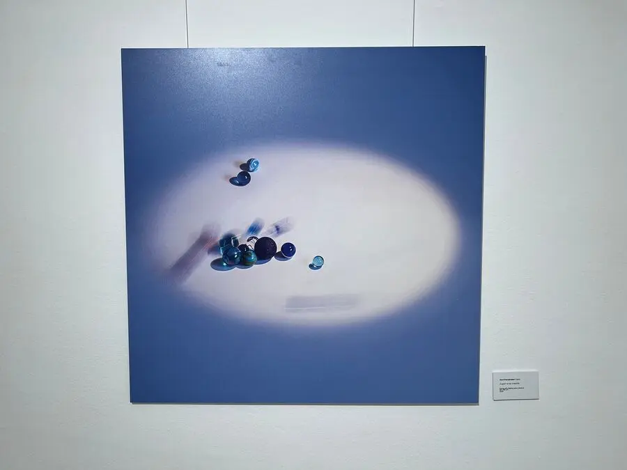Exposiciones de Bael&agrave;ria en el Museo del Revell&iacute;n / Daniel Hern&aacute;ndez