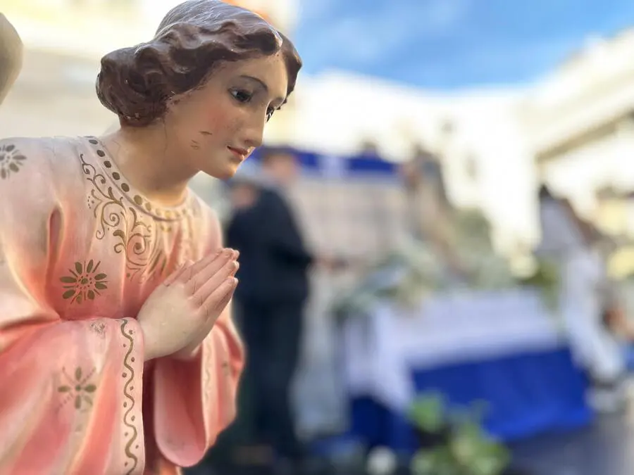 Ofrenda floral en La Inmaculada / Mohamed Ettouileb