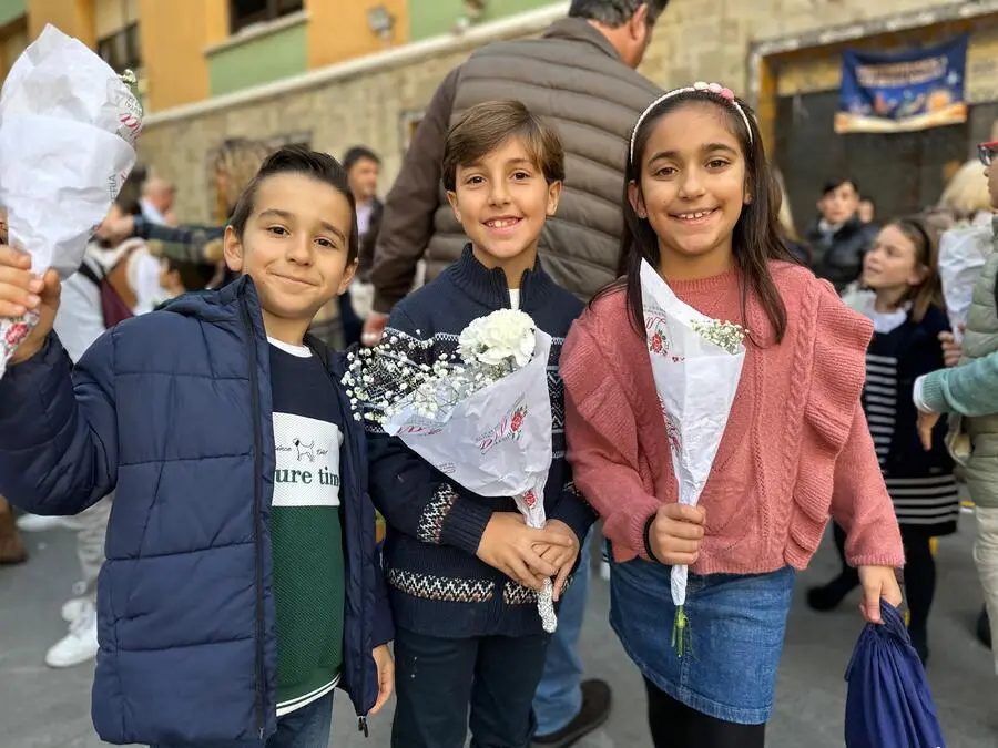 Ofrenda floral en La Inmaculada / Mohamed Ettouileb