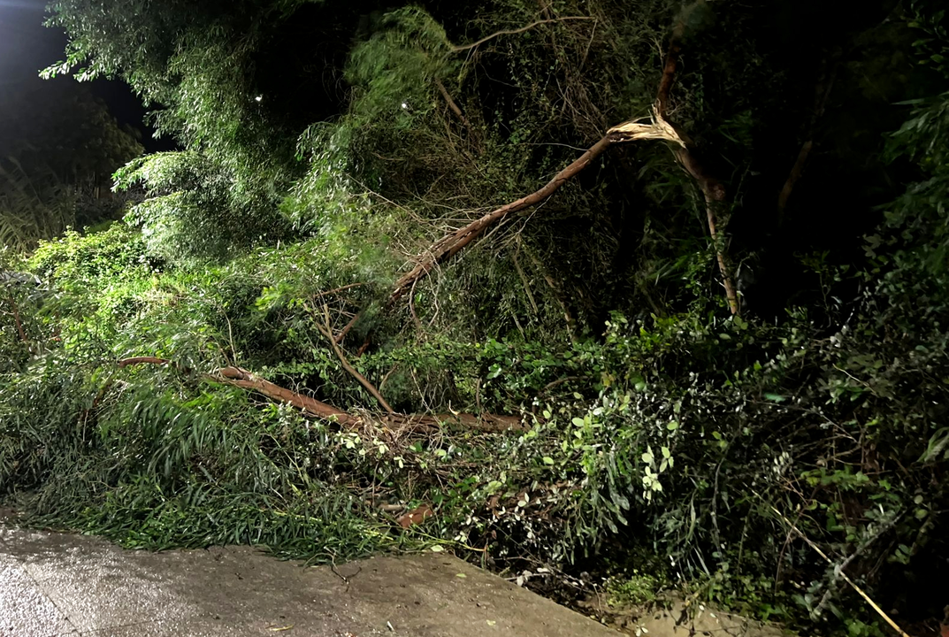 Temporal a causa de la borrasca Herminia (15)