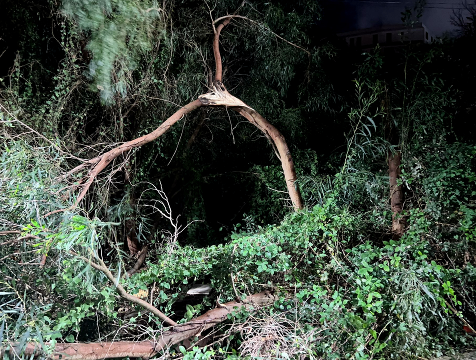 Temporal a causa de la borrasca Herminia (14)
