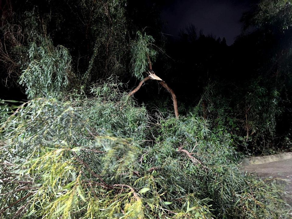 Temporal a causa de la borrasca Herminia (13)