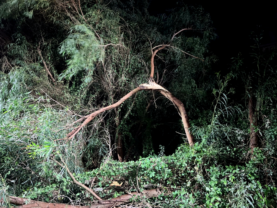 Temporal a causa de la borrasca Herminia (12)