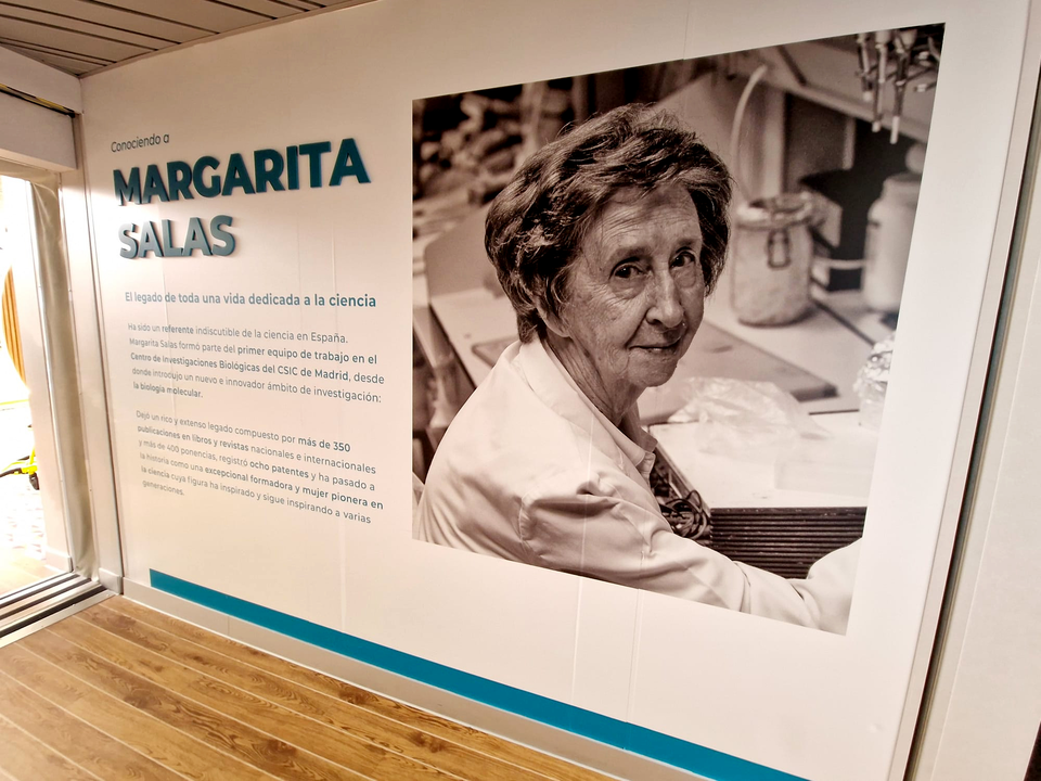 Nuevo Fast Ferry Margarita Salas de Bale&agrave;ria (24)