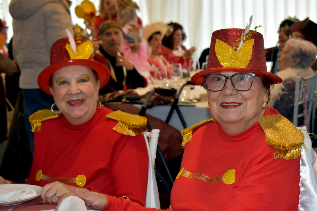 Carnaval de Mayores 2025  (32)