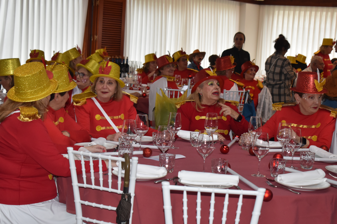 Carnaval de Mayores 2025  (27)