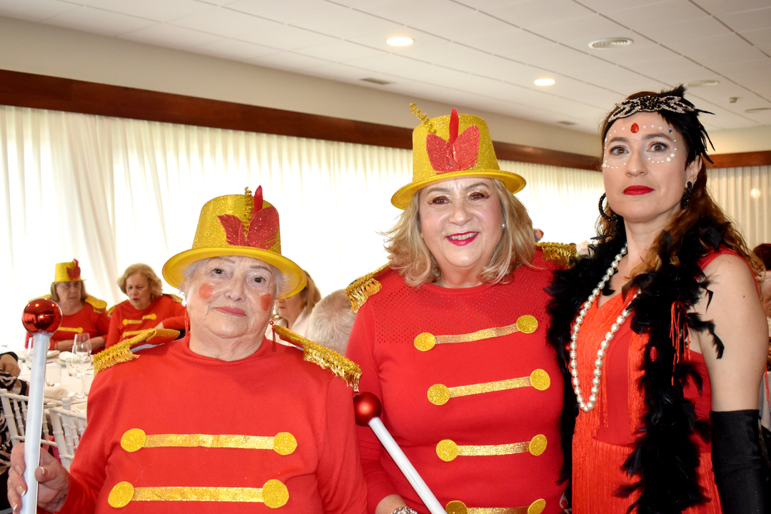 Carnaval de Mayores 2025  (18)
