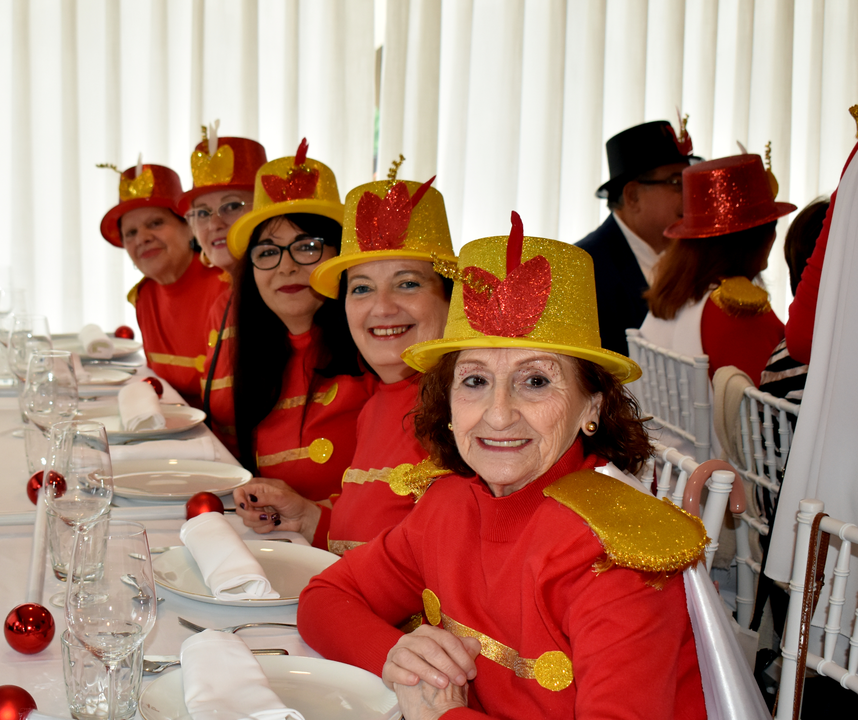 Carnaval de Mayores 2025  (15)