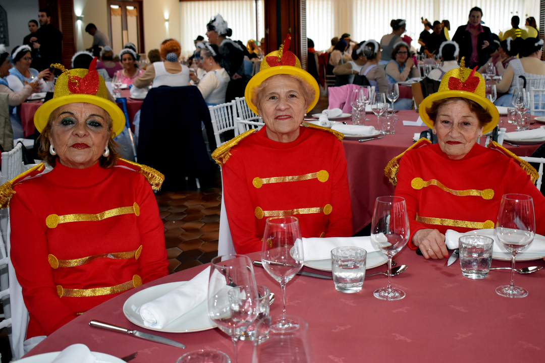 Carnaval de Mayores 2025  (8)