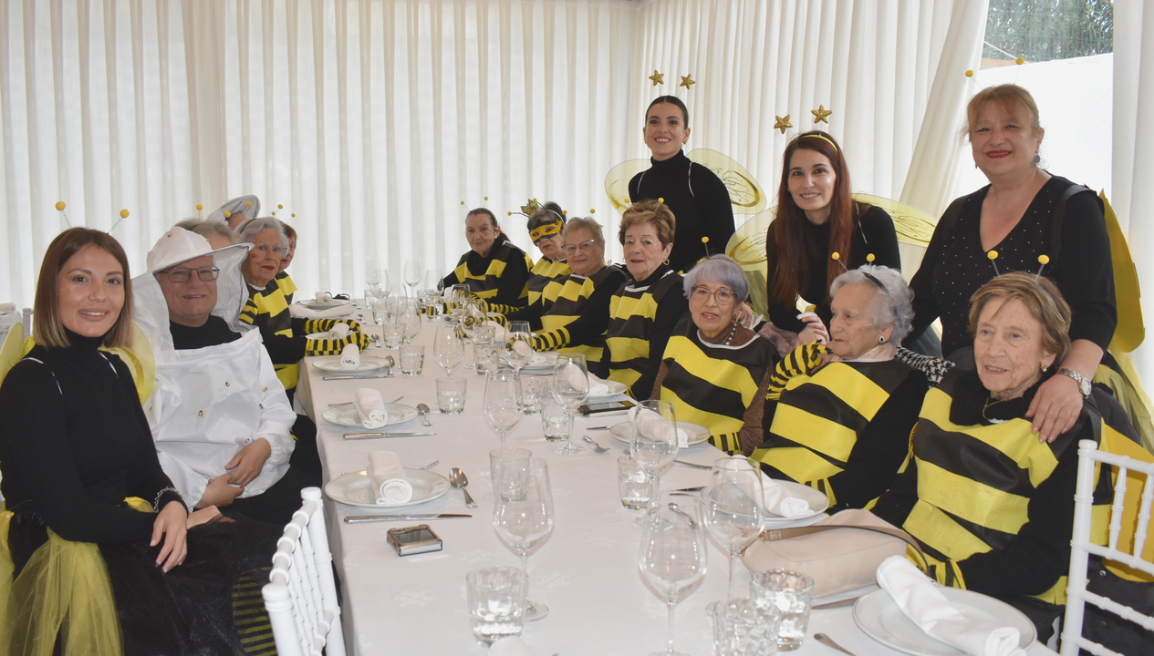 Carnaval de Mayores 2025  (2)