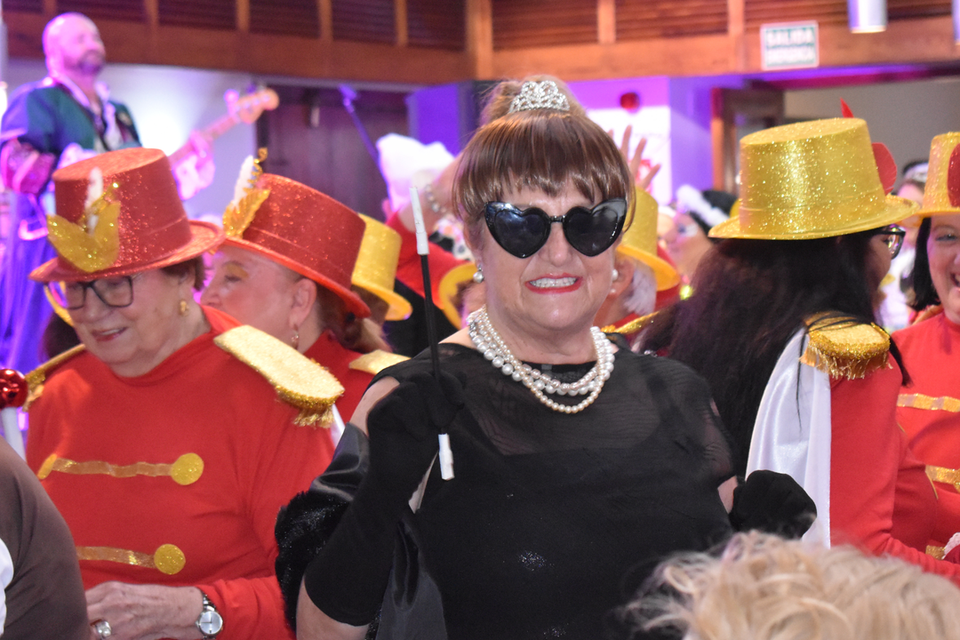 Carnaval de Mayores 2025  (38)