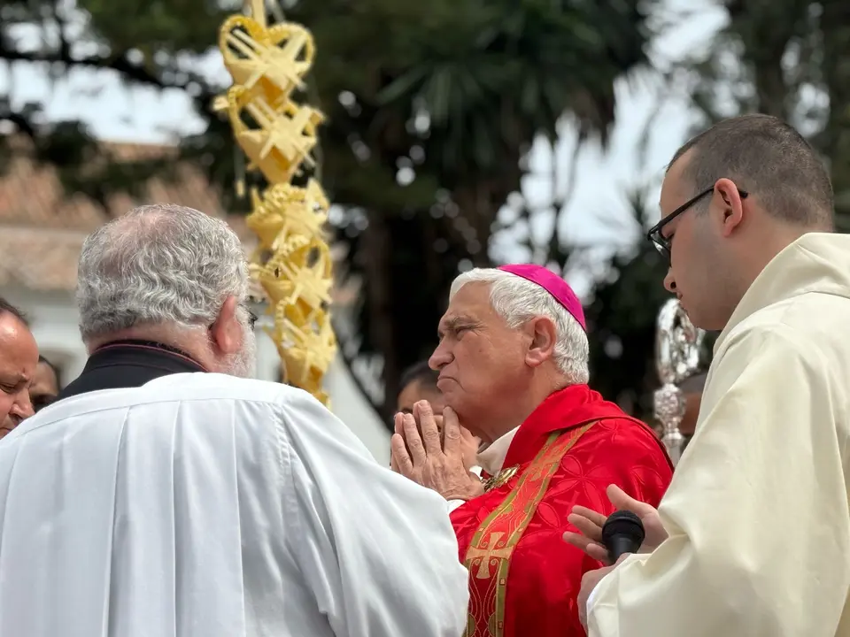 Bendici&oacute;n de palmas / Marina Zapico