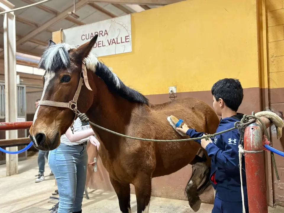 Jornada de equitaci&oacute;n inclusiva en la H&iacute;pica / Alma Palomino