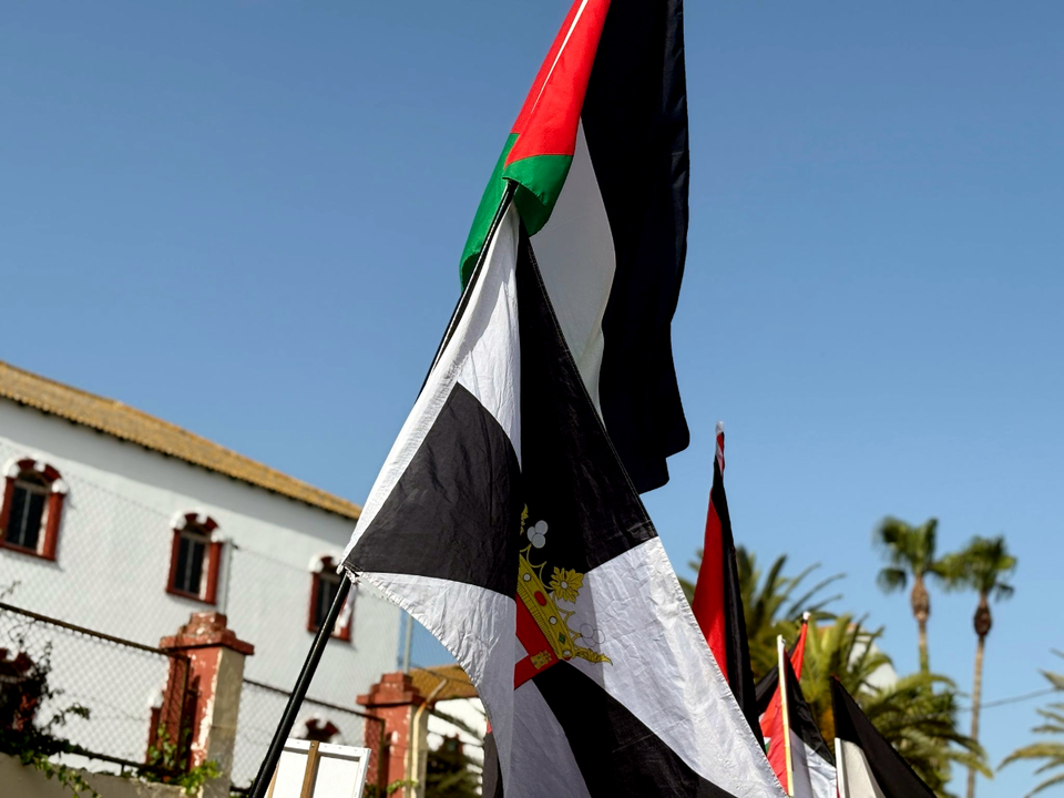 Manifestaci&oacute;n Ceuta con Palestina (33)