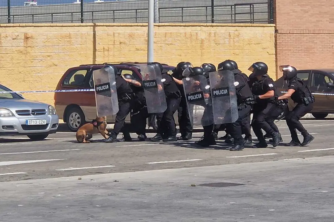 Exhibici&oacute;n Polic&iacute;a Local (21)