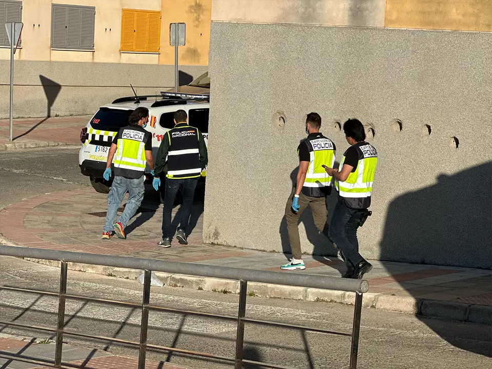 OPERACI&Oacute;N UCRIF LOMA COLMENAR 19