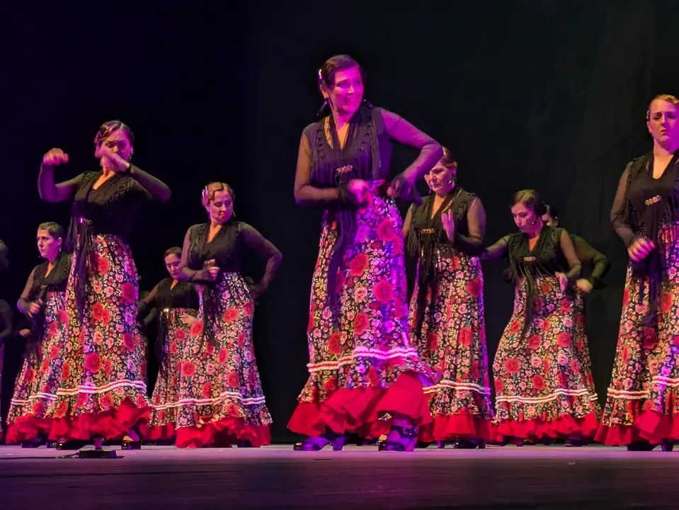 Ballet Lsms (4)