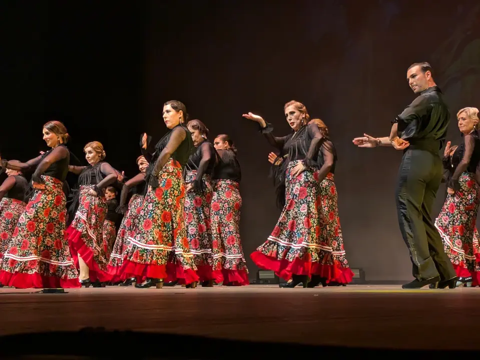 Ballet Lsms (6)