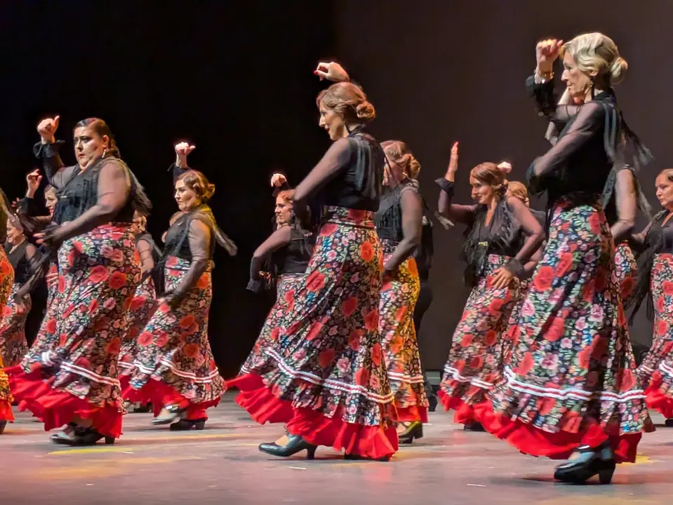 Ballet Lsms (7)