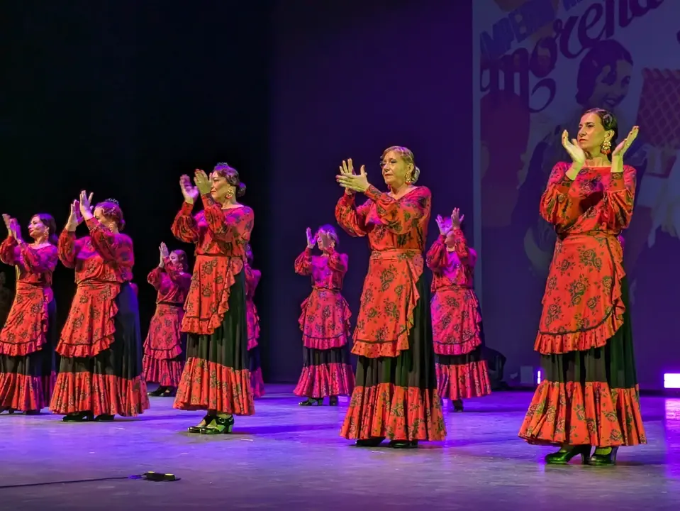 Ballet Lsms (8)