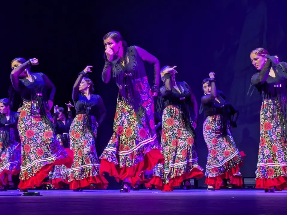 Ballet Lsms (5)
