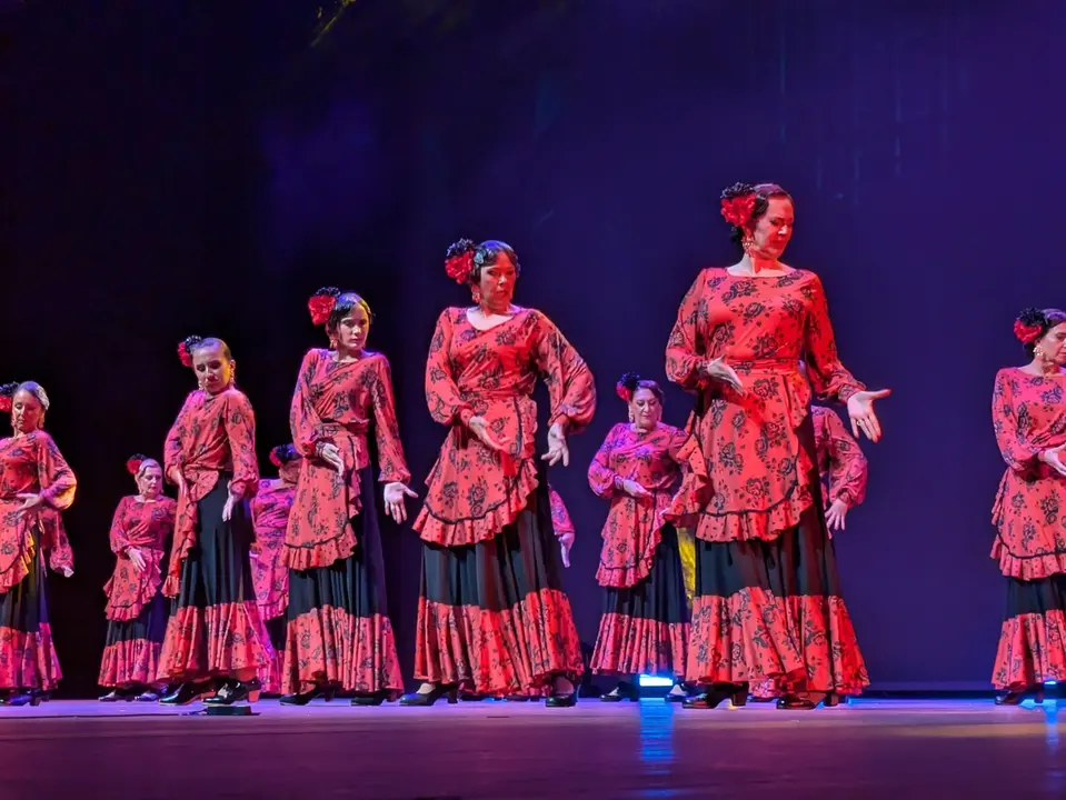 Ballet Lsms (12)