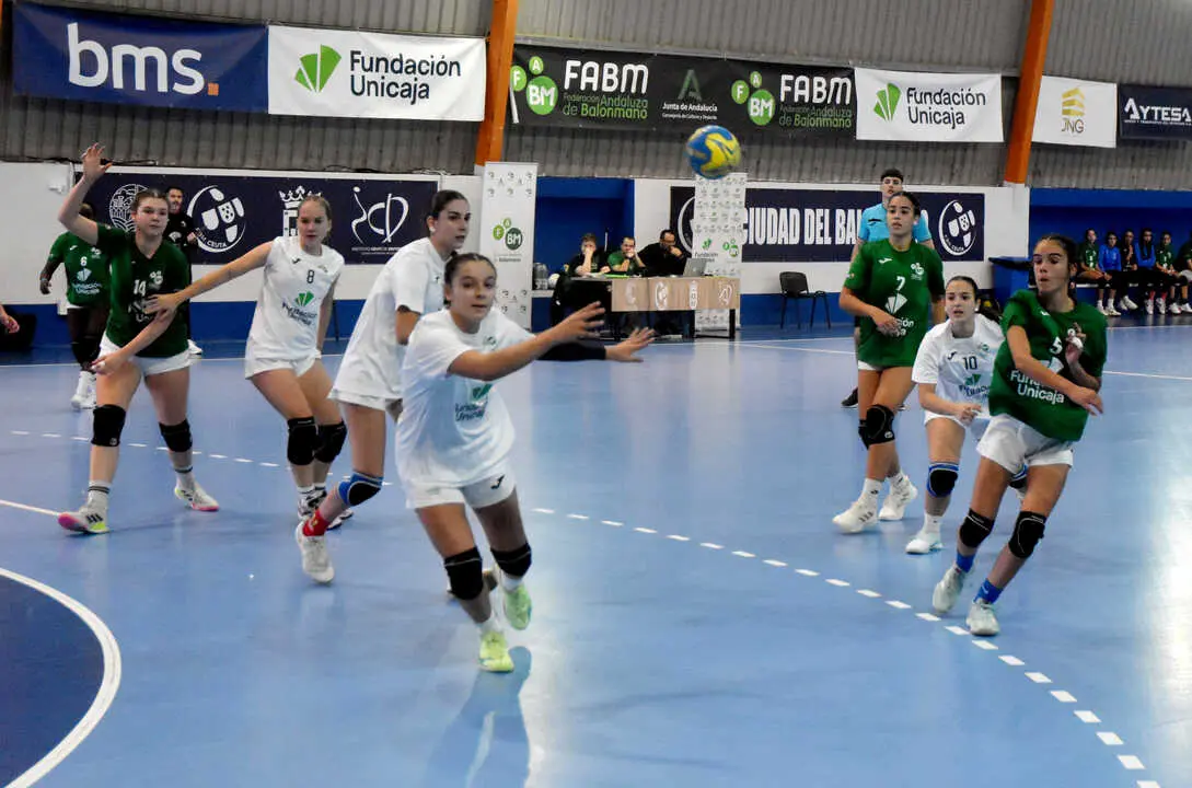Final del Campeonato de Andaluc&iacute;a de Balonmano (14)