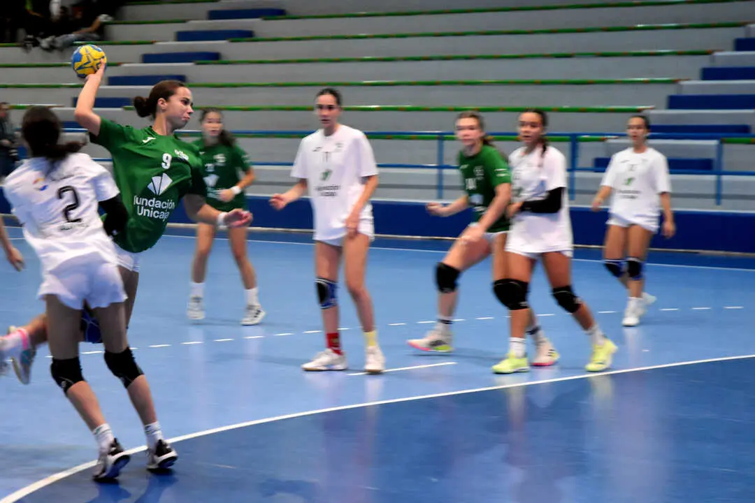 Final del Campeonato de Andaluc&iacute;a de Balonmano (11)
