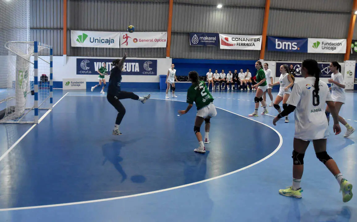 Final del Campeonato de Andaluc&iacute;a de Balonmano (10)