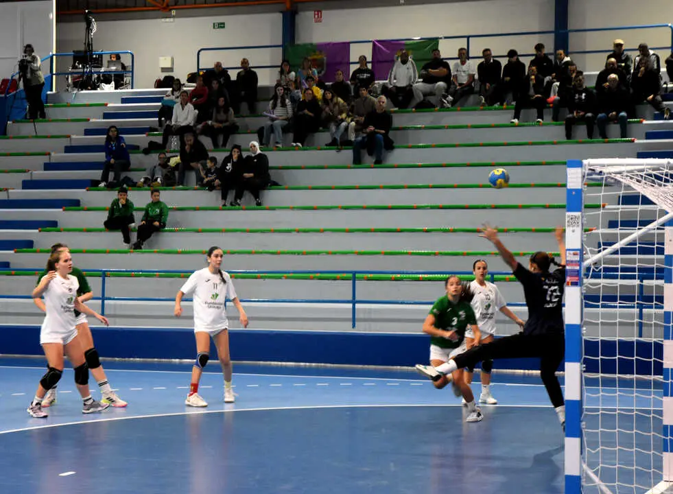 Final del Campeonato de Andaluc&iacute;a de Balonmano (9)