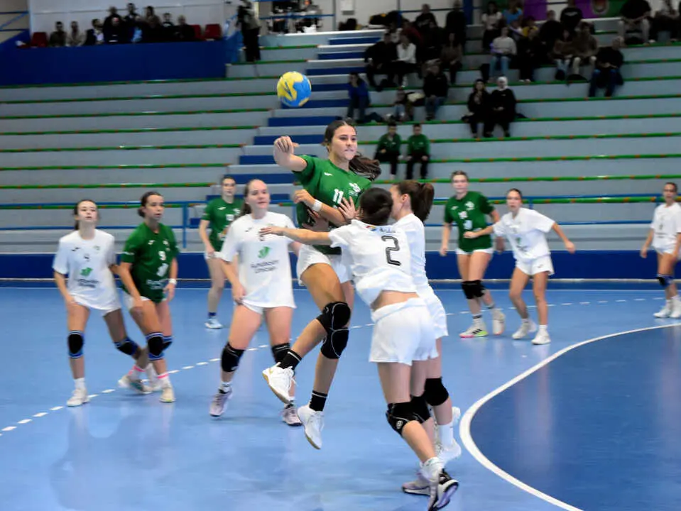 Final del Campeonato de Andaluc&iacute;a de Balonmano (8)