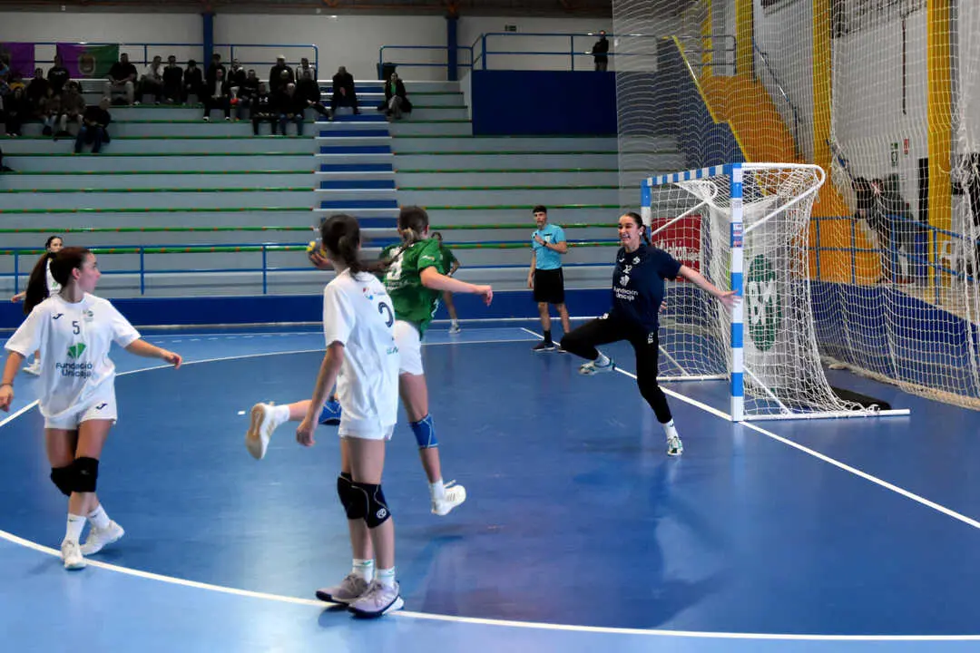 Final del Campeonato de Andaluc&iacute;a de Balonmano (7)