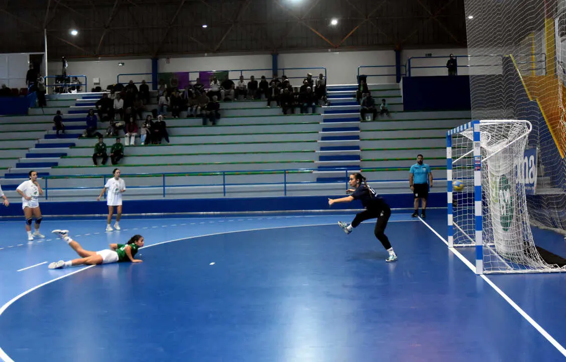 Final del Campeonato de Andaluc&iacute;a de Balonmano (3)