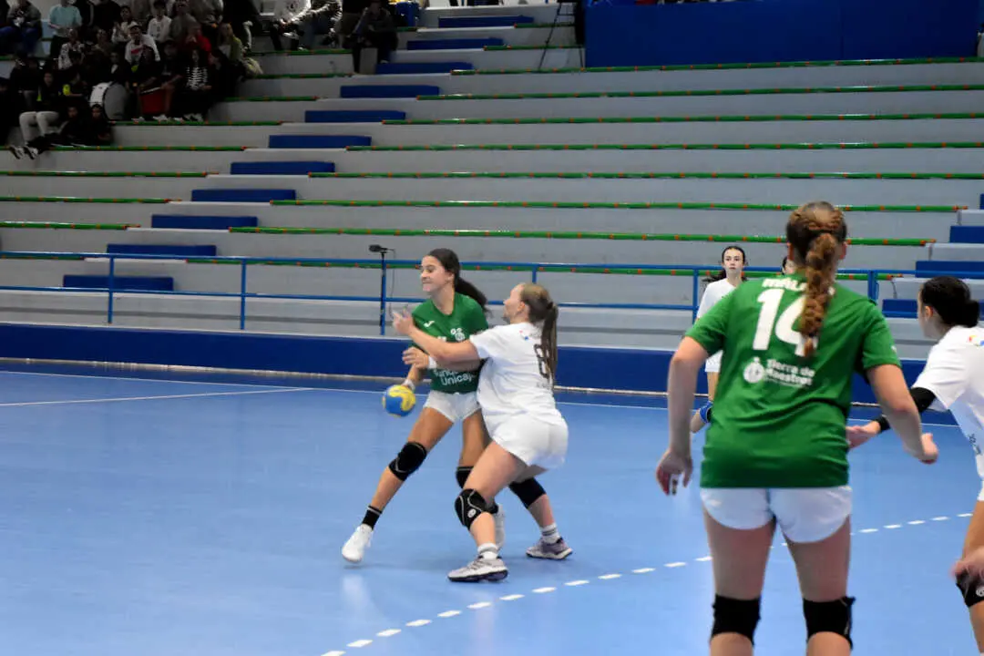 Final del Campeonato de Andaluc&iacute;a de Balonmano (1)