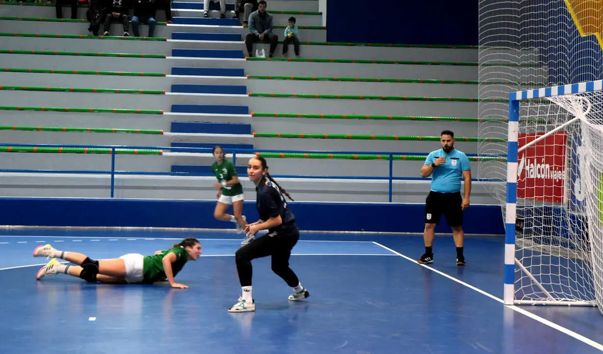 Final del Campeonato de Andaluc&iacute;a de Balonmano