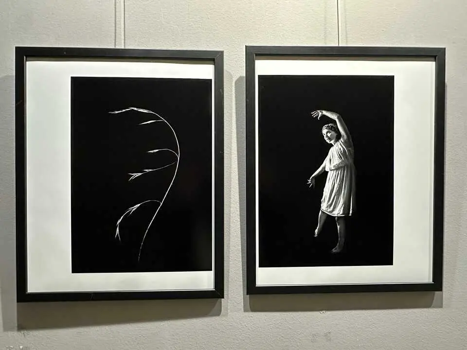 Exposici&oacute;n Resonancia Sala FIAP
