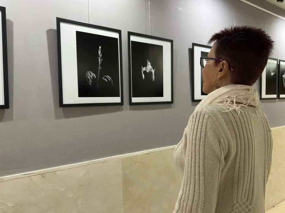 Exposici&oacute;n Resonancia Sala FIAP (8)