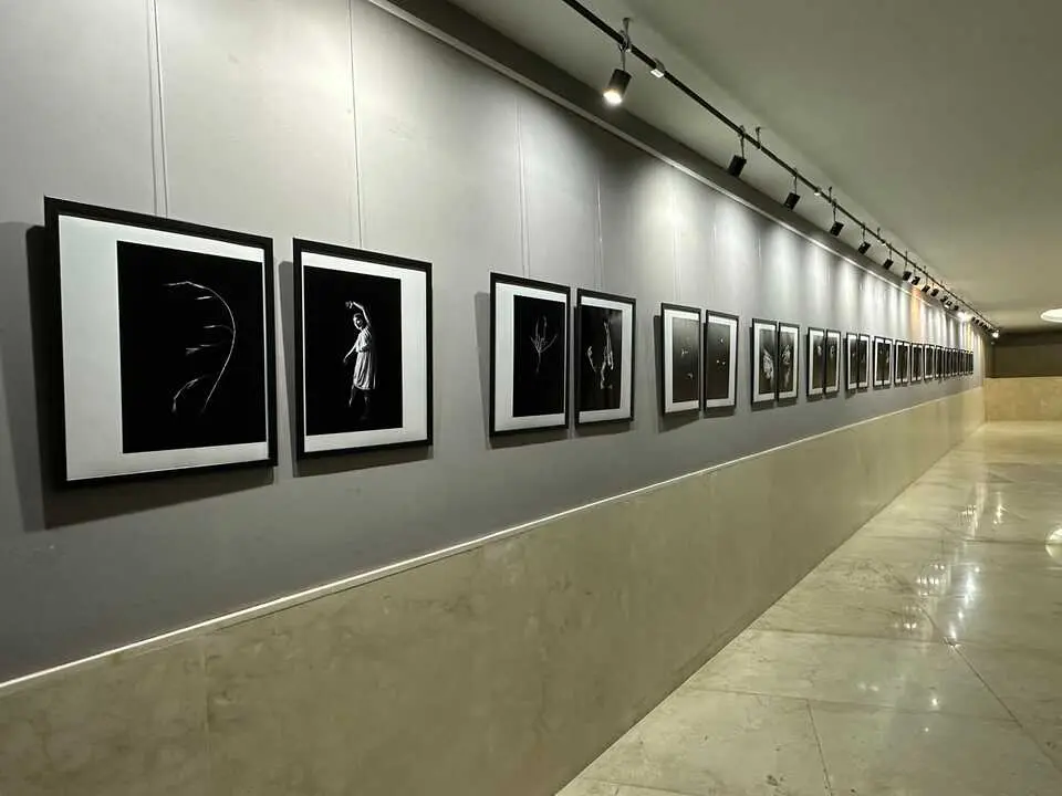 Exposici&oacute;n Resonancia Sala FIAP (18)