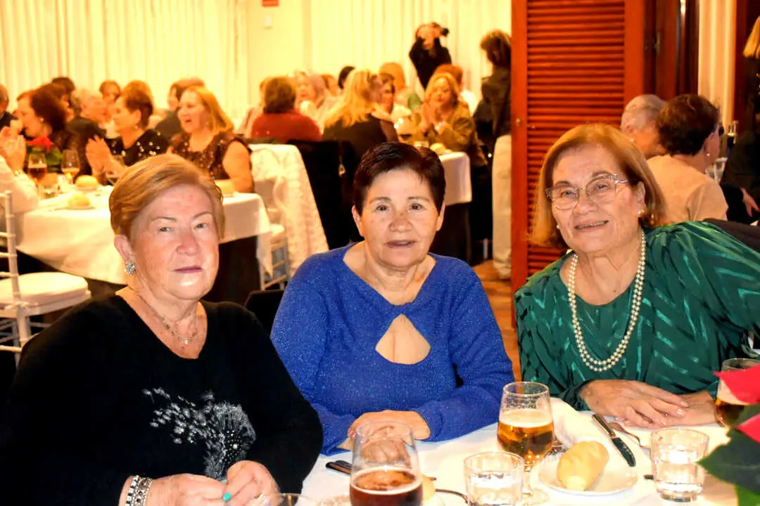 Cena de Navidad de los Mayores  (24)