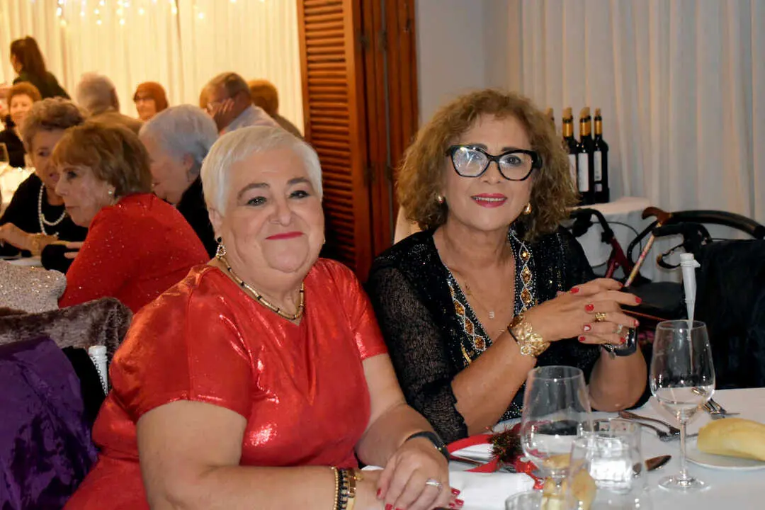 Cena de Navidad de los Mayores  (41)