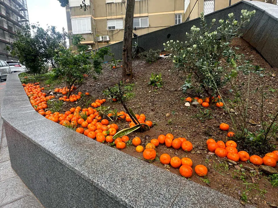 Efectos del fuerte temporal en Ceuta. Foto: Mohamed Ettouileb
