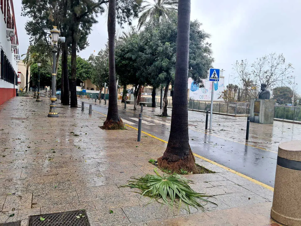 Efectos del fuerte temporal en Ceuta. Foto C&eacute;sar Mart&iacute;n  (3)
