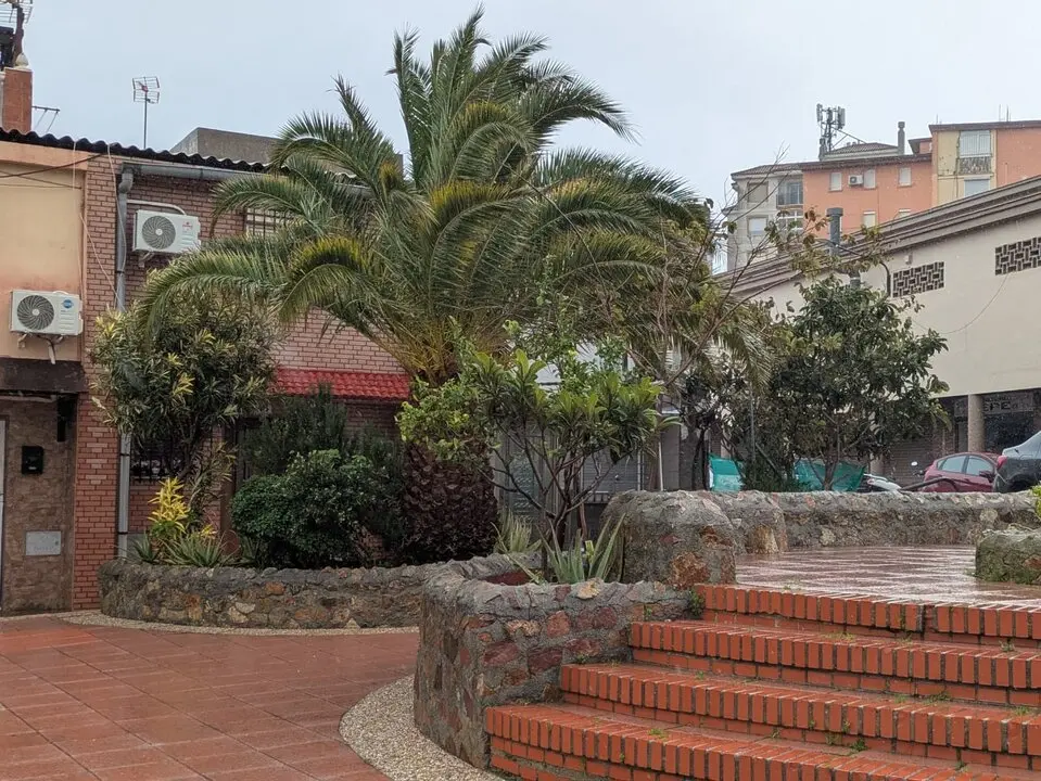Efectos del temporal (2)
