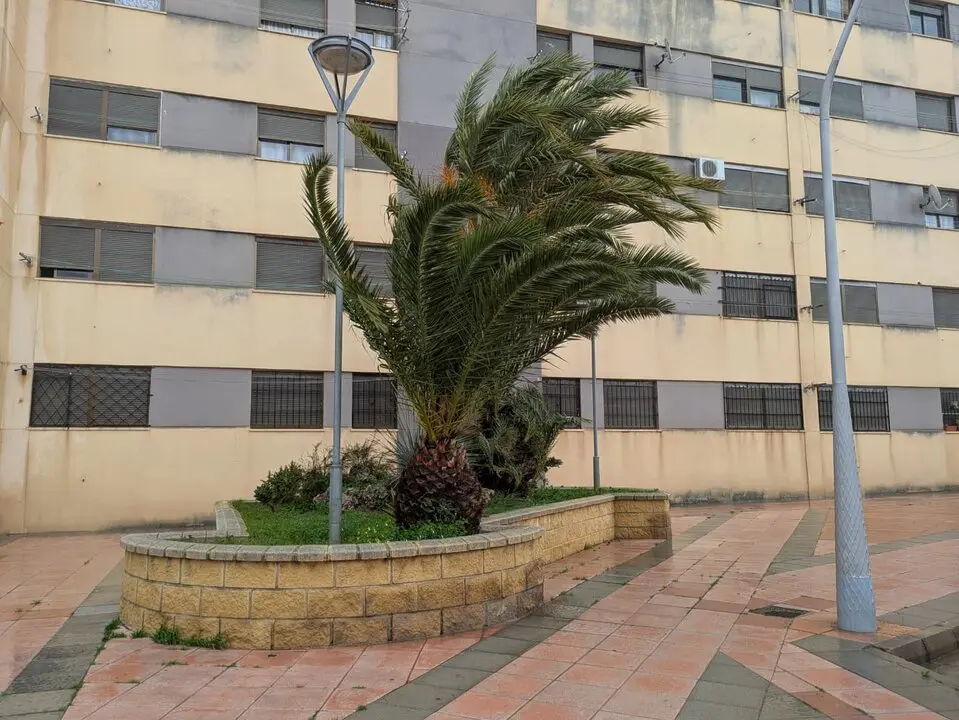 Efectos del temporal (4)