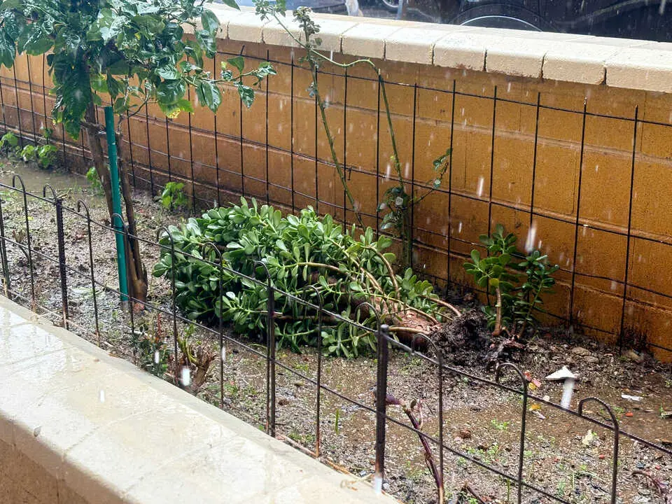 Efectos del temporal en Ceuta. Foto_ Alma Palomino (8)