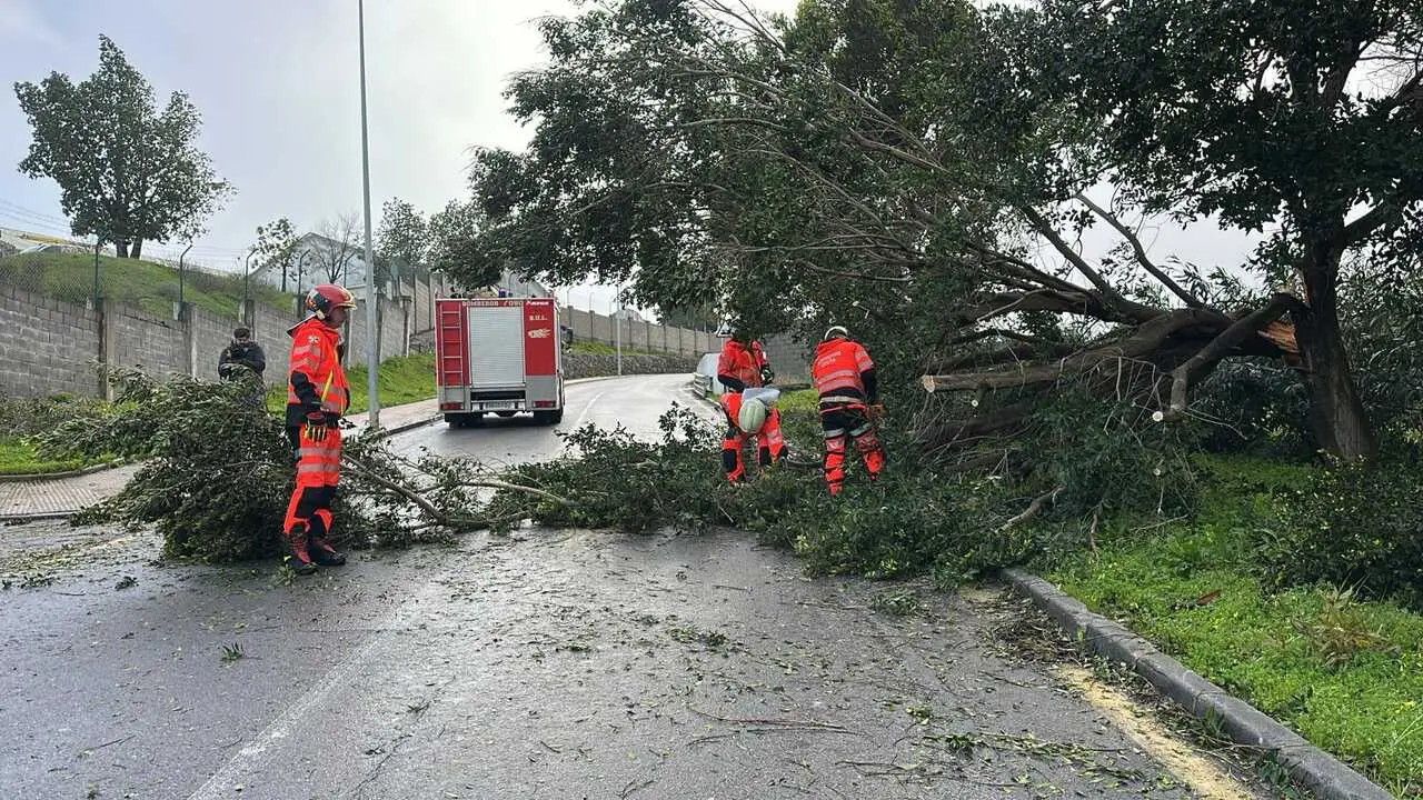 Efectos de la borrasca Leonardo este jueves (6)